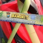 Melanggar Lalu Lintas di Kabupaten Malang Bakal Ditandai Janur Kuning