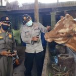 Soal Wabah PMK, Polsek Dampit Ambil Langkah Preventif dengan Monitoring dan Edukasi