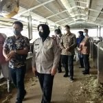 Deteksi Dini Penyebaran PMK, Satgas Pangan Polres Malang Kunjungi CV. Milkindo Berka Abadi
