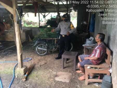 Bhabinkamtibmas Polsek Ngajum Lakukan Pemantauan dan Monitoring Wabah PMK Bhabinkamtibmas polsek ngajum saat melakukan monitoring dan pemantauan
