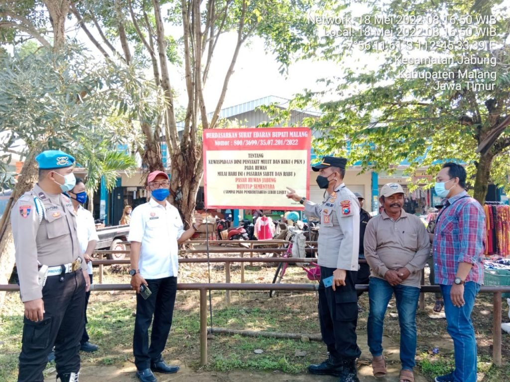 Cegah Penyebaran PMK, Kapolsek Jabung Sambangi Pasar Hewan Kapolsek Jabung bersama anggota sambangi pasar antisipasi penyebaran penyakit mulut dan kuku (PMK)