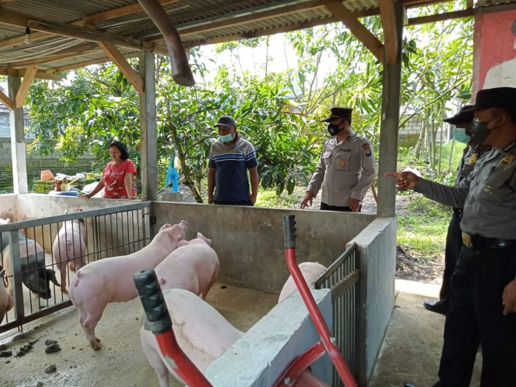 Antisipasi PMK, Satbinmas Polres Malang Kunjungi Peternak di Kromengan Satbinmas Polres Malang saat melakukan monitoring pada peternak di Kromengan
