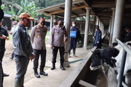 Kapolres Malang Pantau Vaksinasi Hewan Ternak di Poncokusumo Kapolres Malang AKBP Ferli Hidayat mengunjungi salah satu Perusahaan penampungan susu sapi perah di UD. Mitra Usaha, Jambesari, Kecamatan Poncokusumo