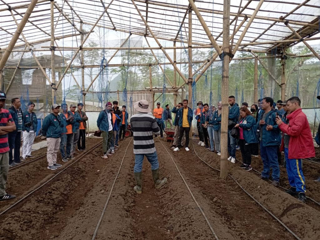 DPD Pemuda Tani Jatim Siapkan Petani Terampil ke Inggris dan Australia DPD Pemuda Tani Indonesia (PTI) Jawa Timur melakukan gebrakan dengan melaksanakan On Job Training (OJT) Indonesia Youth Farmer