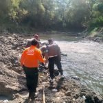 Diduga Hanyut, Polsek Pakisaji Lakukan Pencarian Korban di Sungai Brantas