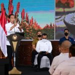 Tiga Bansos Pemerintah Memuluskan Kenaikan Harga BMM Subsidi