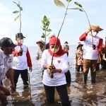 Potret Festival Mangrove Perdana Digelar Pemprov Jatim, Upaya Kuatkan Ekosistem Alam
