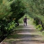 Tahura Pakal Surabaya Bakal Jadi Eco Wisata, Begini Konsepnya