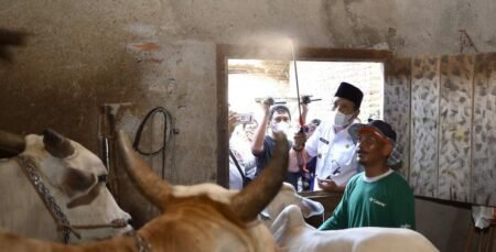 Kasus PMK di Kabupaten Pasuruan Terus Menurun Peninjauan hewan ternak oleh Dinas Peternakan dan Kesehatan Hewan Kabupaten Pasuruan / dok. Pemda Pasuruan / Emil