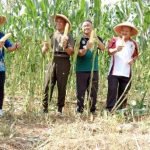 Area Bekas Tambang Lereng Merapi Digarap Jadi Lahan Hortikultura