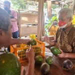 Ganjar Populerkan Alpukat Rifai, Dikembangkan Oleh Kelompok Tani Bina Karya