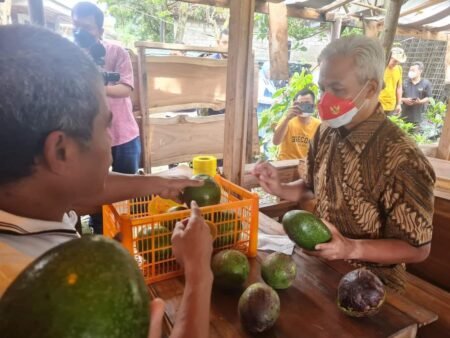 Ganjar Populerkan Alpukat Rifai, Dikembangkan Oleh Kelompok Tani Bina Karya Gubernur Jawa Tengah Ganjar Pranowo berbincang dengan kelompok Tani Bina Karya Bedono, Kecamatan Boja, Kendal / dok. Pemprov Jateng