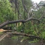 Bencana Puting Beliung di Sidoarjo Akibatkan Kerusakan 261 Rumah Warga