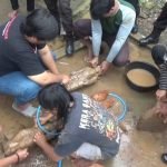 Situs Gondang Trenggalek Disebut Sebagai Peninggalan Mataram Kuno