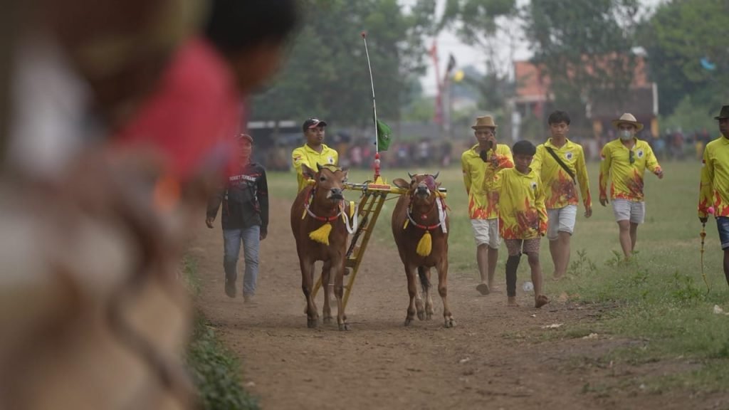 Kemeriahan Lomba Kerapan Sapi Wali Kota Cup Probolinggo Kemeriahan Lomba Kerapan Sapi Wali Kota Cup Kota Probolinggo / mir/fa