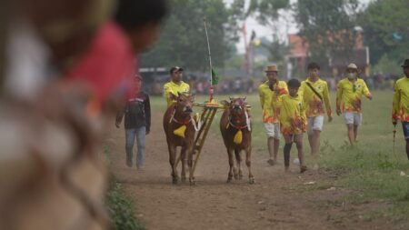 Kemeriahan Lomba Kerapan Sapi Wali Kota Cup Probolinggo Kemeriahan Lomba Kerapan Sapi Wali Kota Cup Kota Probolinggo / mir/fa