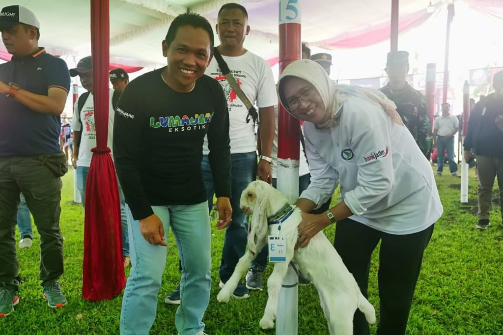 Kontes Kambing Senduro Lumajang Jaring Bibit Berkualitas Bupati Lumajang Thoriqul Haq saat menghadiri kontes Kambing Senduro Lumajang / Kominfo-lmj/Fd