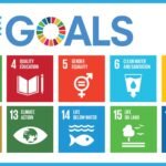 Peran Organisasi SDGs Pada Universitas dan Masyarakat Sekitas Dalam Prespektif Chaster Irving Barnard