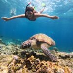 Snorkeling di Gili Trawangan: Surga Bawah Laut yang Wajib Kamu Coba!