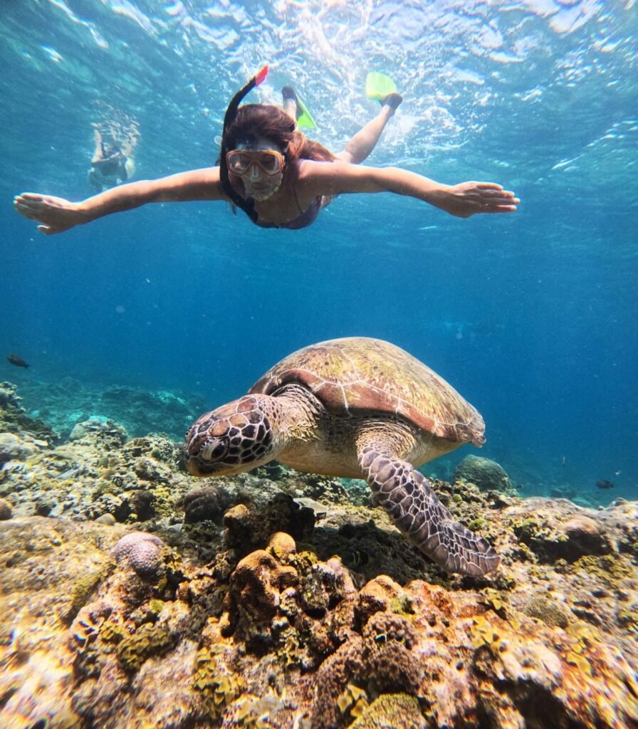 Snorkeling di Gili Trawangan: Surga Bawah Laut yang Wajib Kamu Coba! Snorkeling di Gili Trawangan: Surga Bawah Laut yang Wajib Kamu Coba!