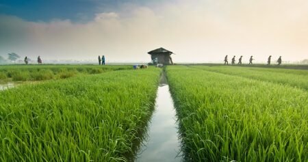 Pak Marhaen, Seorang Petani yang Belum Merdeka: Refleksi Terhadap Sistem yang Belum Berubah Pak Marhaen, Seorang Petani yang Belum Merdeka: Refleksi Terhadap Sistem yang Belum Berubah