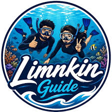Lim King Guide